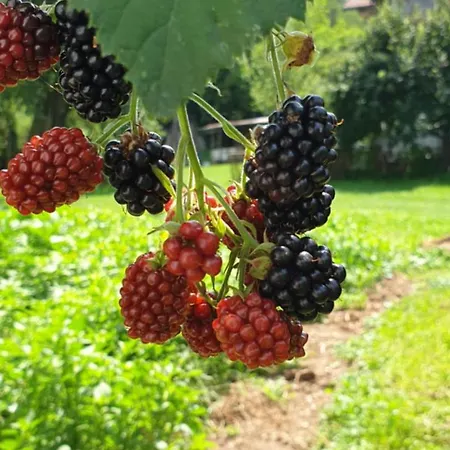 Riverstone Retreat Jajce