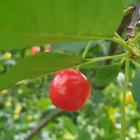 Apartmán Riverstone Retreat *